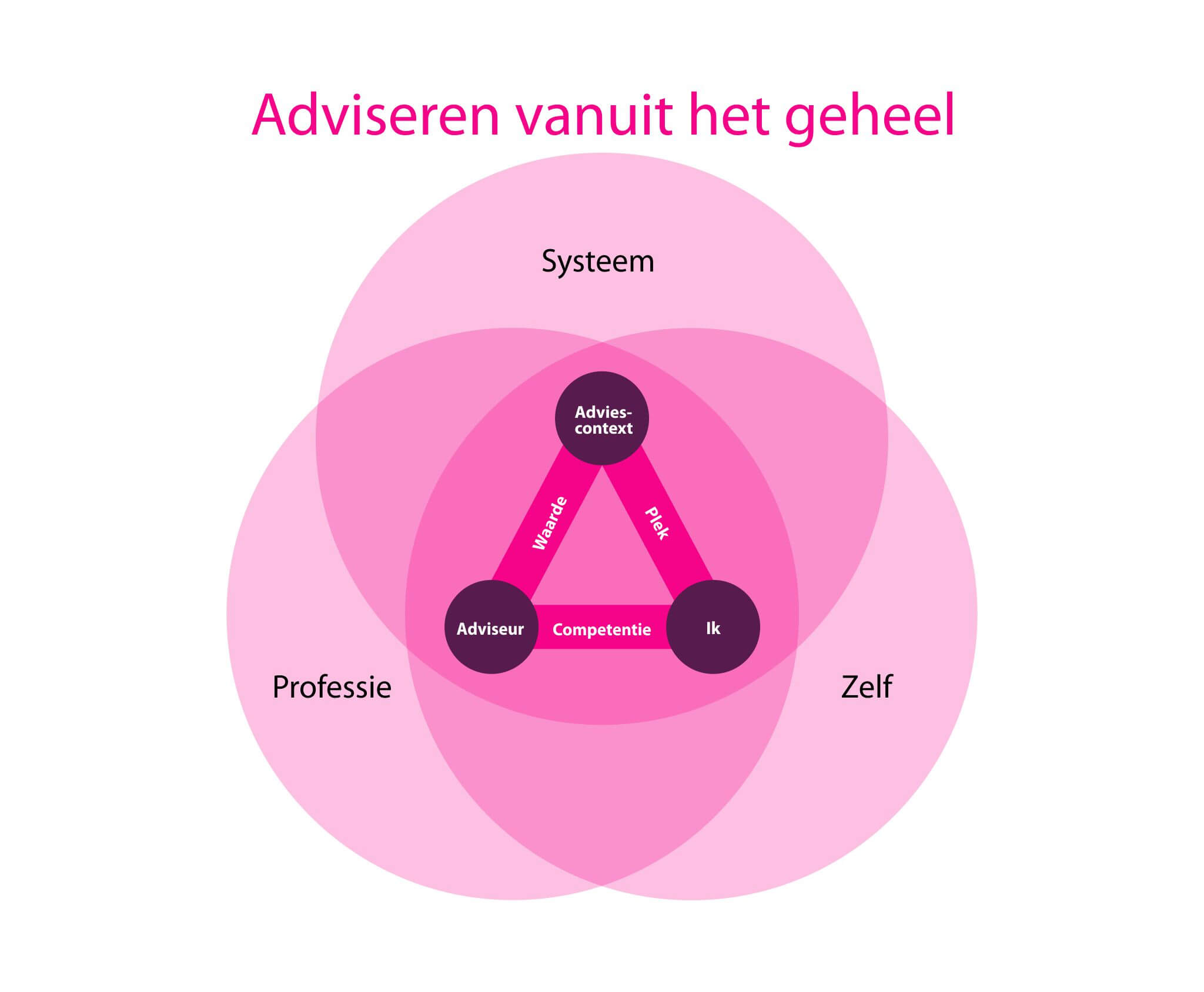 Ontwikkelmodel Meesterschap in Adviseren